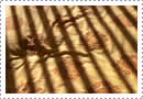 Domestic Abstract #3