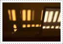 Domestic Abstract #1