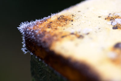 Winter Fencepost #2