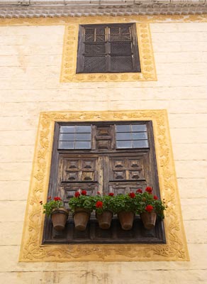 La Orotava #8