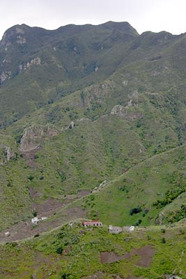 Tenerife Mountains #1
