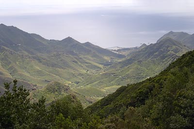 Tenerife Mountains #5