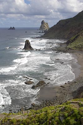 Northern Coastline #1