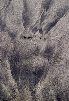 Northern Coastline #5