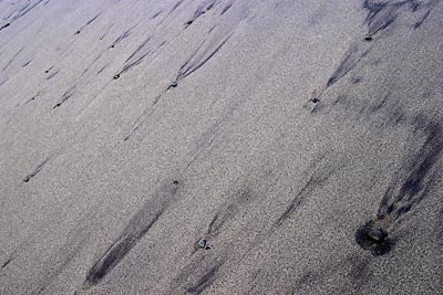 Northern Coastline #4