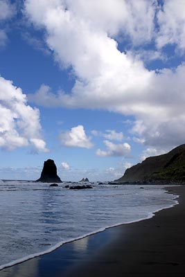 Northern Coastline #10