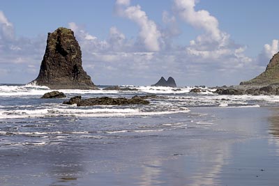 Northern Coastline #8