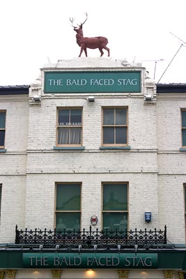 The Local High Street #11