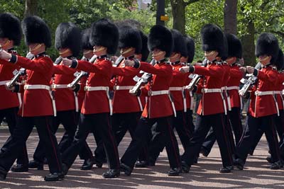 Royal Horse Guards #9