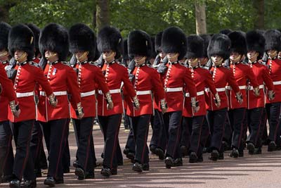 Royal Horse Guards #10