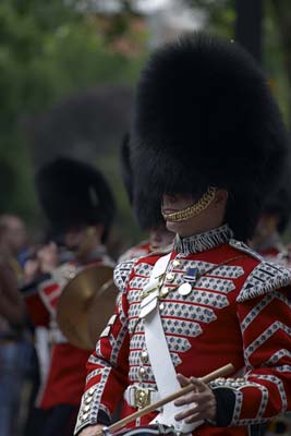 Royal Horse Guards #19