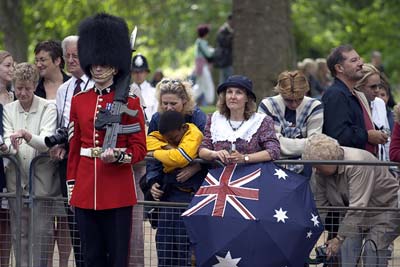 Royal Horse Guards #13