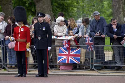 Royal Horse Guards #14