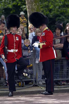 Royal Horse Guards #16