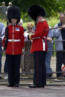 Royal Horse Guards #18