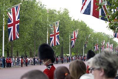Royal Horse Guards #15