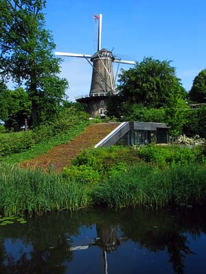 Holland #3