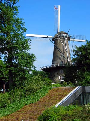 Holland #5