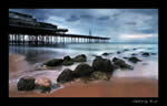 gav_davies
