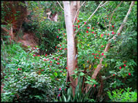garys_parries_051106_q2.jpg