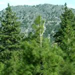 garys_parries_210506_q1.jpg