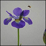 garys_parries_210506_q3.jpg