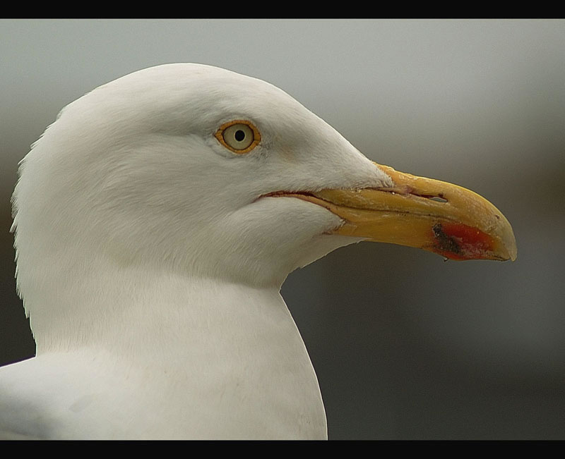 You20looking20at20me