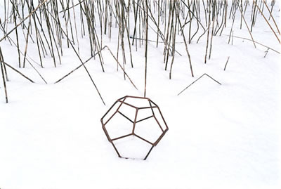 Dodecahedron #1