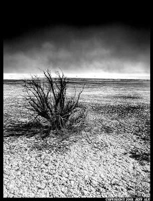 Alone