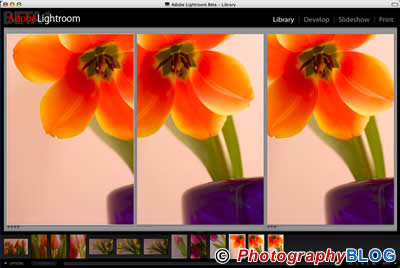 Adobe Lightroom