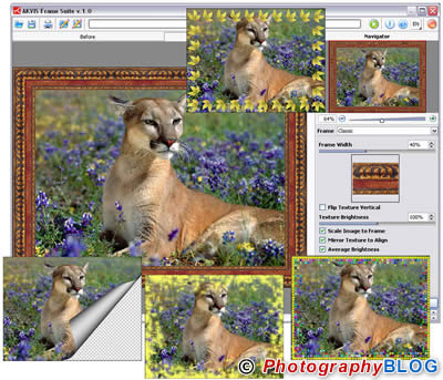 AKVIS Frame Suite 1.0