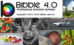 Bibble