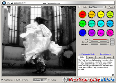 B/W Styler for Windows