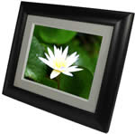 Digital Foci Image Moments 15