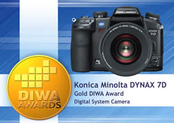 DIWA Gold Award Winners