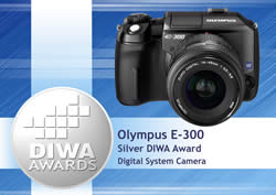 DIWA Silver Award Winners