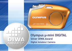 DIWA Silver Award Winners