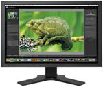 EIZO CG241W