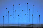 University of Cambridge Epson Photography Competition