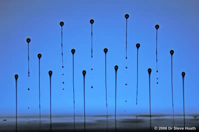 University of Cambridge Epson Photography Competition