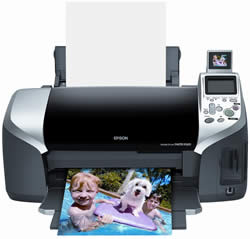 Epson Stylus Photo R320