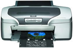 Epson Stylus Photo R800 Printer