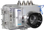 Fantasea Line FL-12