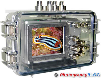 Fantasea Line FL-14