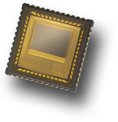 Foveon F19 Sensor