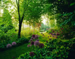 Garden Photographer of the Year 2008