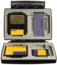 Gepe Card Safe Memory Cardholders