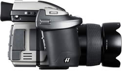 Hasselblad H2D
