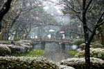 International Garden Photographer of the Year