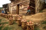 International Year of the Potato Contest